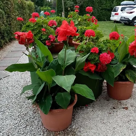 Ferienwohnung Mit Pool Direkt Am See 2